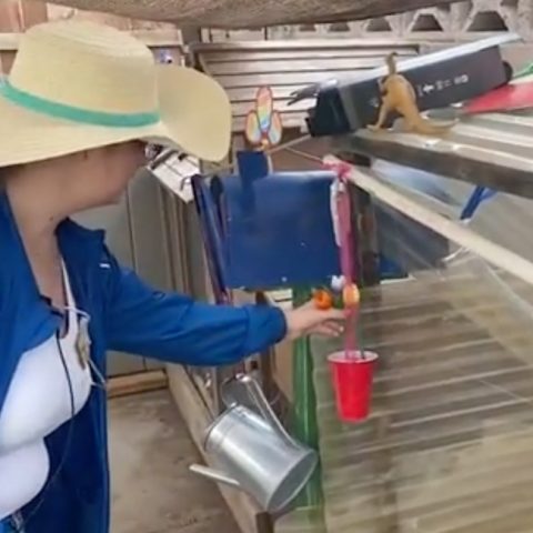 a woman throws flowers into a cup that is connected to a rube goldberg machine